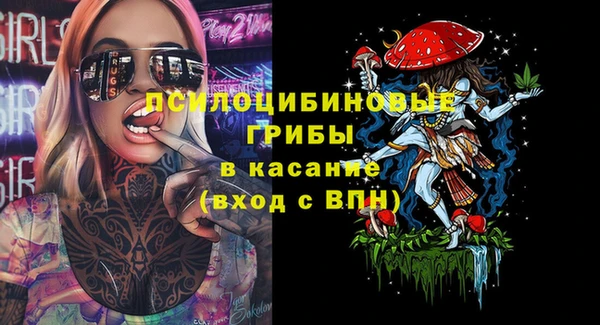 твердый Абинск