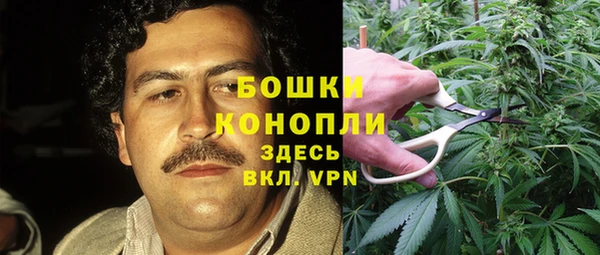 ешки Абаза