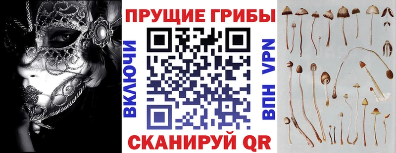 Псилоцибиновые грибы Psilocybine cubensis  Ефремов 