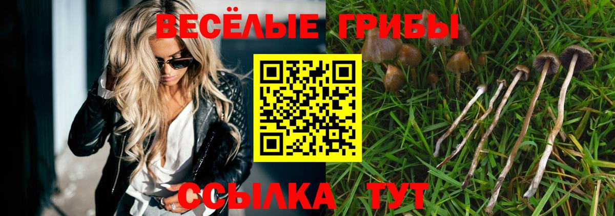 Псилоцибиновые грибы Magic Shrooms  Вход с VPN  где найти наркотики  Ефремов  Псилоцибиновые грибы GOLDEN TEACHER 